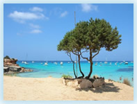 Vacanze mare Formentera